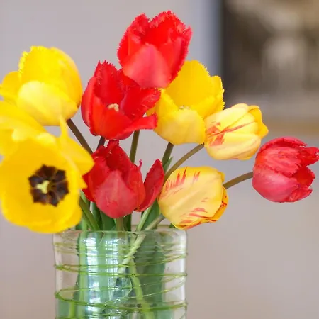 Apartament Anja Neustift im Stubaital