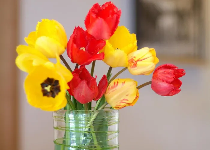 Apartament Anja Neustift im Stubaital